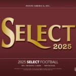 2025 Panini Select Football Mega 20-Box Case (Pink Prizm Shock Parallels!)
