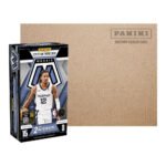 2024-25 Panini Mosaic Basketball Hobby 12 Box Case